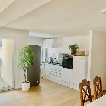 Apartma Frigo *